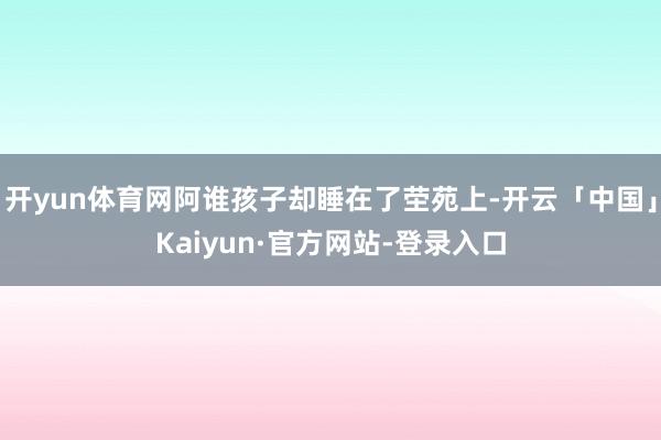 开yun体育网阿谁孩子却睡在了茔苑上-开云「中国」Kaiyun·官方网站-登录入口