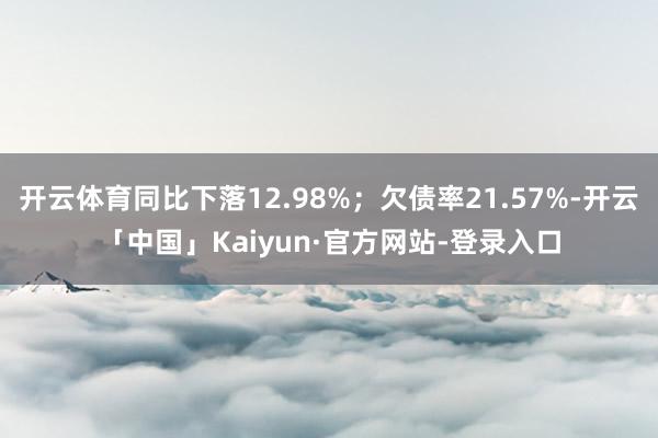 开云体育同比下落12.98%；欠债率21.57%-开云「中国」Kaiyun·官方网站-登录入口