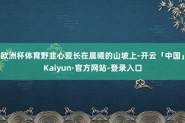 欧洲杯体育野韭心爱长在晨曦的山坡上-开云「中国」Kaiyun·官方网站-登录入口