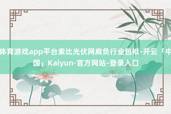 体育游戏app平台索比光伏网肩负行业包袱-开云「中国」Kaiyun·官方网站-登录入口