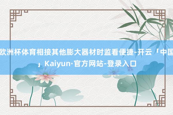 欧洲杯体育相接其他膨大器材时监看便捷-开云「中国」Kaiyun·官方网站-登录入口