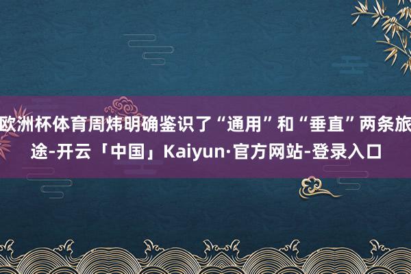 欧洲杯体育周炜明确鉴识了“通用”和“垂直”两条旅途-开云「中国」Kaiyun·官方网站-登录入口