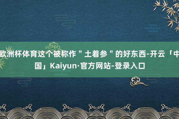 欧洲杯体育这个被称作＂土着参＂的好东西-开云「中国」Kaiyun·官方网站-登录入口