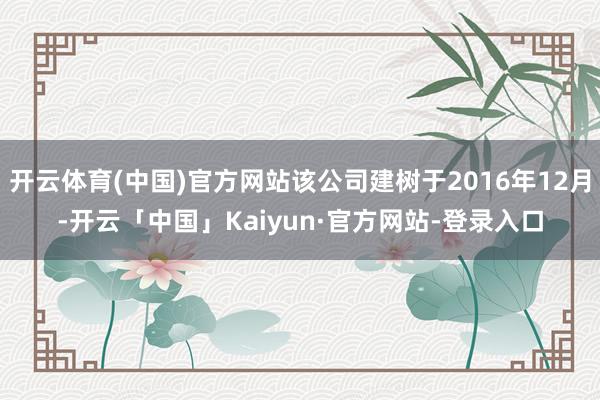 开云体育(中国)官方网站该公司建树于2016年12月-开云「中国」Kaiyun·官方网站-登录入口
