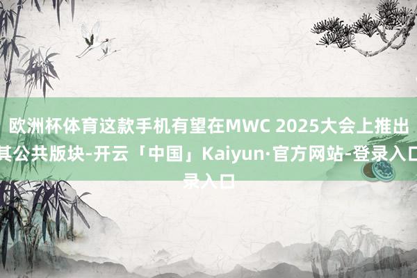 欧洲杯体育这款手机有望在MWC 2025大会上推出其公共版块-开云「中国」Kaiyun·官方网站-登录入口