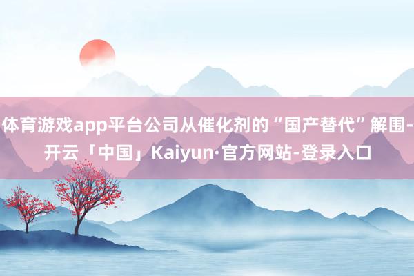 体育游戏app平台公司从催化剂的“国产替代”解围-开云「中国」Kaiyun·官方网站-登录入口