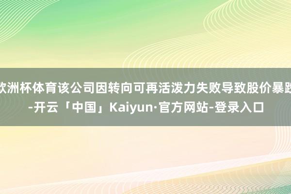 欧洲杯体育该公司因转向可再活泼力失败导致股价暴跌-开云「中国」Kaiyun·官方网站-登录入口