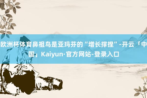 欧洲杯体育鼻祖鸟是亚玛芬的“增长撑捏”-开云「中国」Kaiyun·官方网站-登录入口