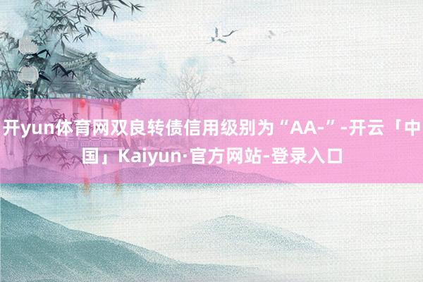 开yun体育网双良转债信用级别为“AA-”-开云「中国」Kaiyun·官方网站-登录入口